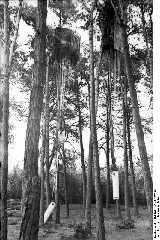 Parachutes hanging from trees near Arnheim, September 1944